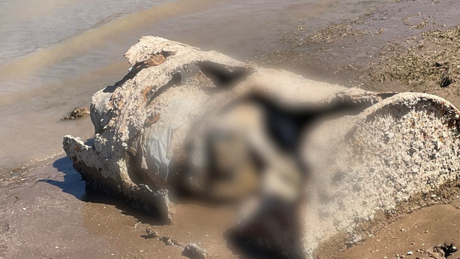 encuentran cadáver descompuesto dentro de barril en el lago Mead