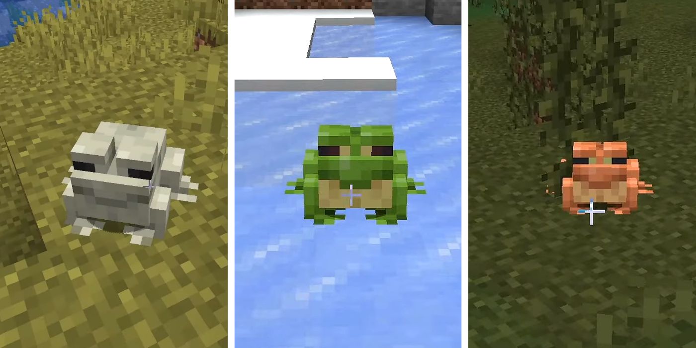 Cómo generar ranas frías, templadas o cálidas en Minecraft