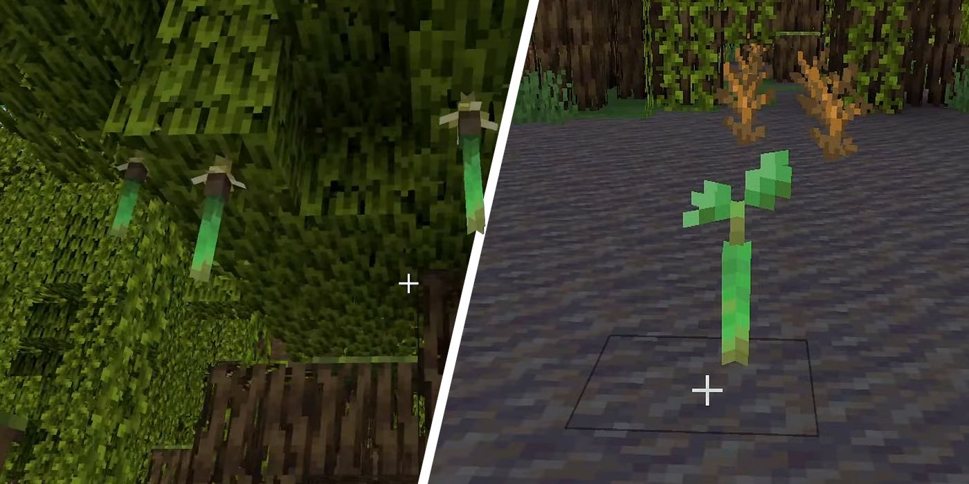 Cómo obtener (y usar) propágulos de manglares en Minecraft