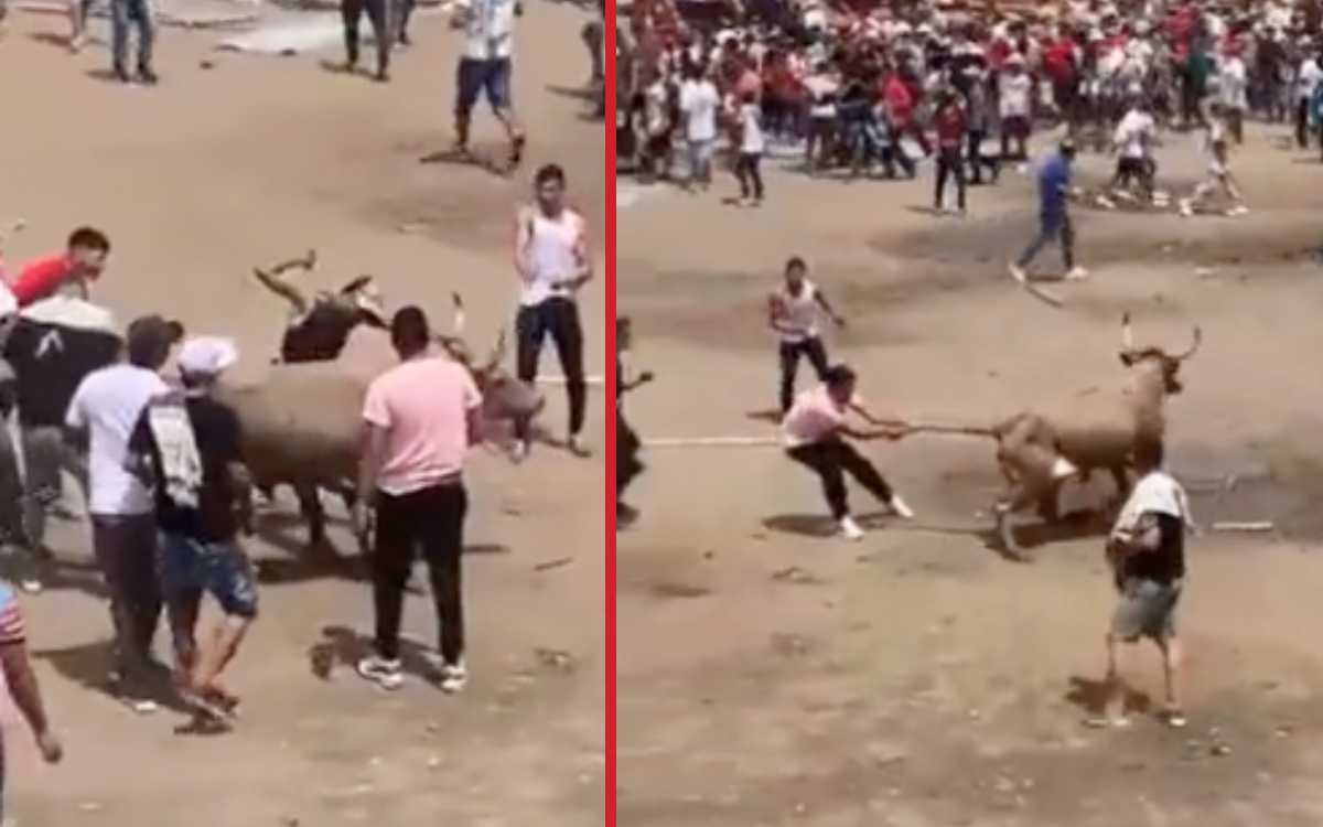 Condena en Colombia a 'festejos' taurinos: tras derrumbe mataron a toro a cuchilladas