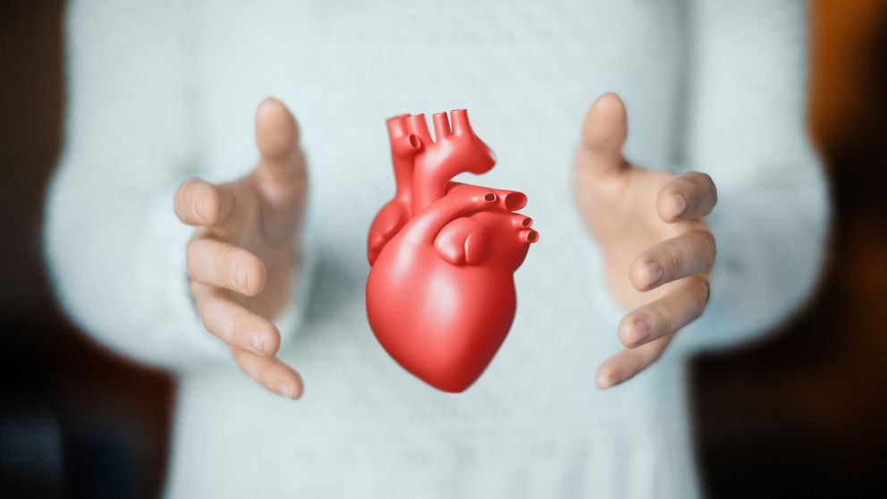 Diferencias entre un paro cardíaco y un infarto