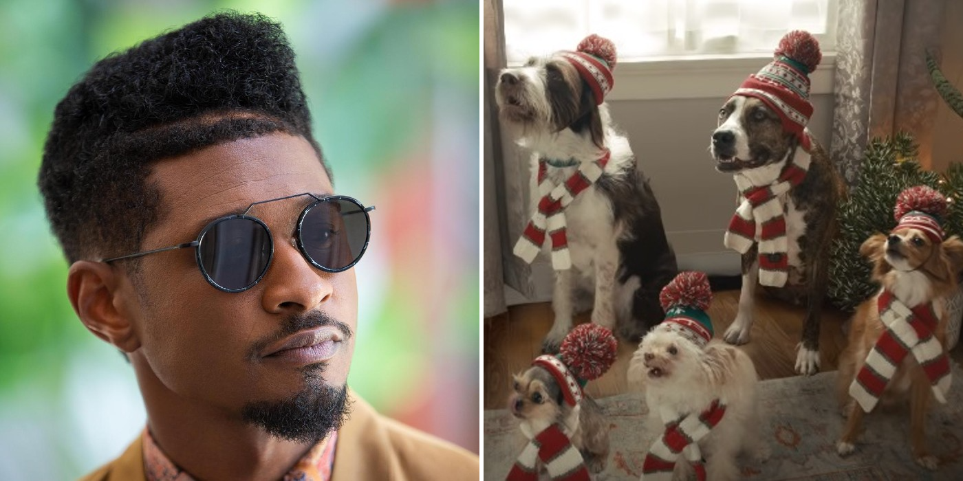 El perro Usher Song ladró en el anuncio “Choir Master Carl” de Amazon