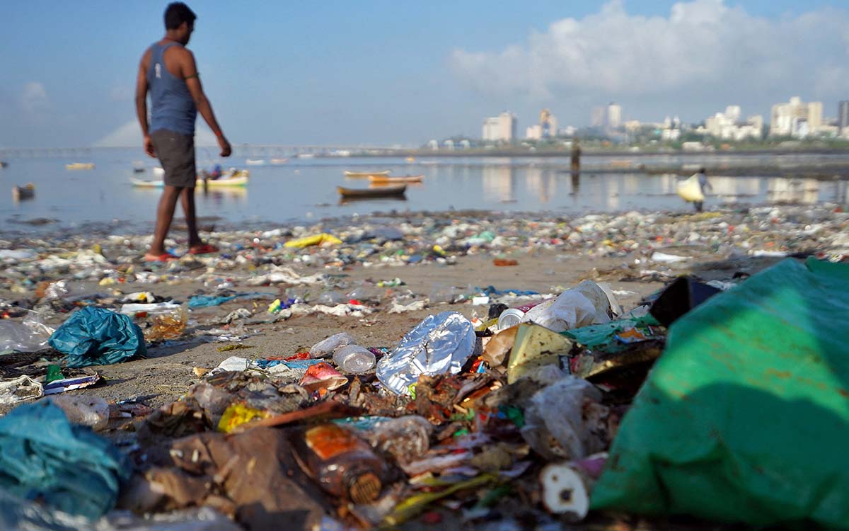 Esta es la que falta hasta el momento: Contaminación por plástico y la sobrepesca, los retos que urge atender para proteger los océanos del mundo: Oceana | Video