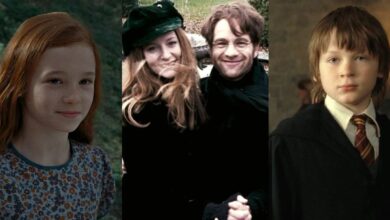Harry Potter: 9 opiniones impopulares sobre James y Lily Potter, según Reddit