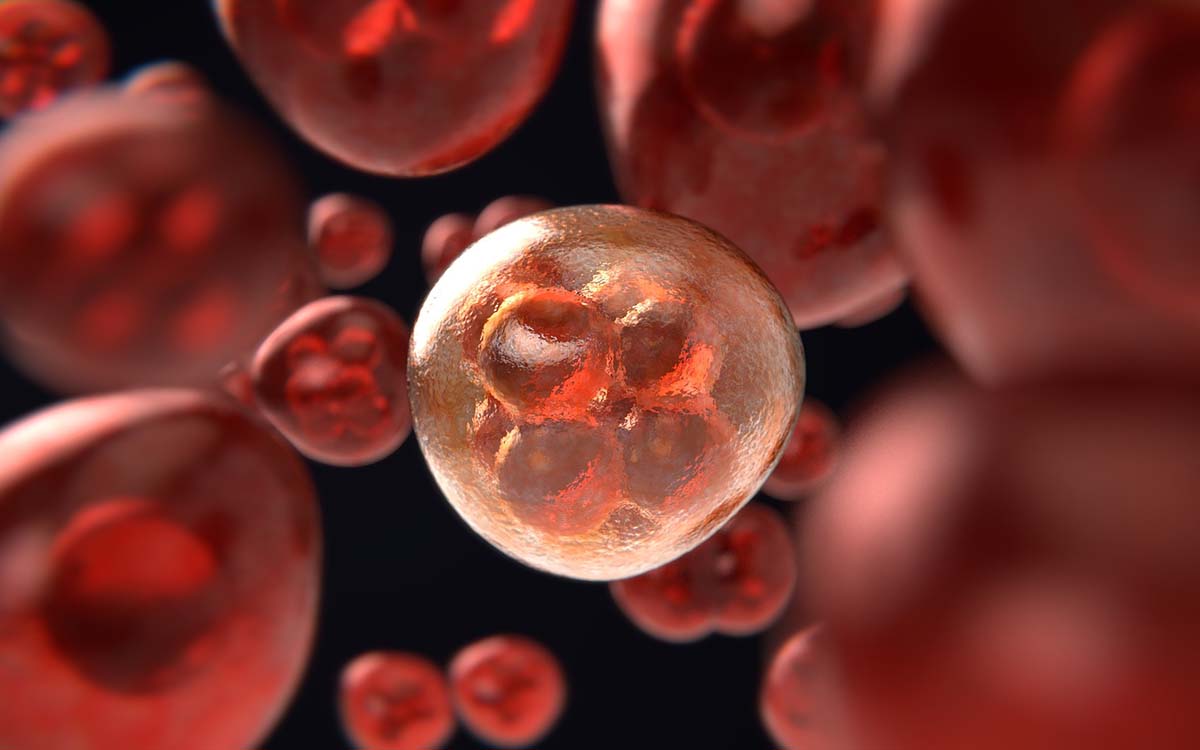 IPN e Instituto Salvador Zubirán desarrollarán terapias celulares contra cáncer