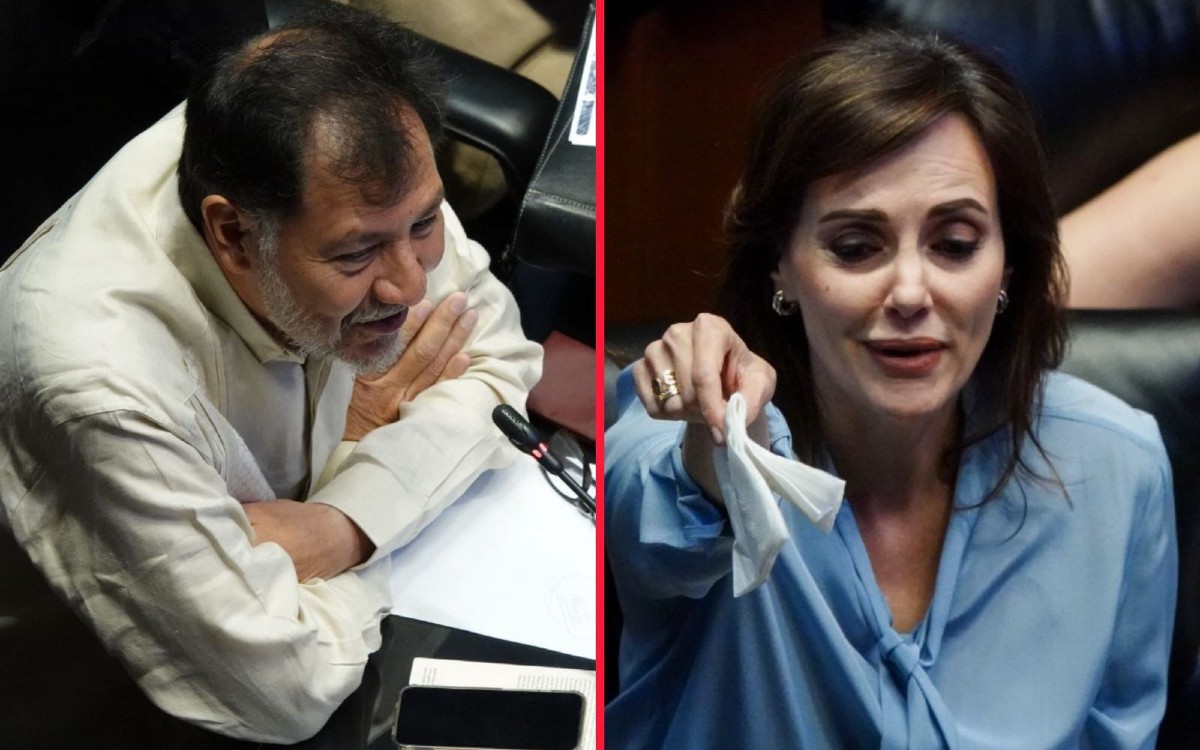 Lilly Tellez le dice ‘Changoleón’ a Fernández Noroña; él la acusa de clasista y racista… senador del PRI lo reta a golpes | Videos