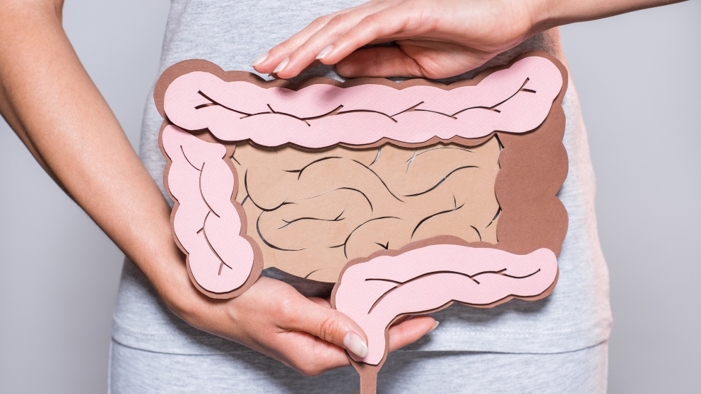 Lo que debes saber del vólvulo intestinal