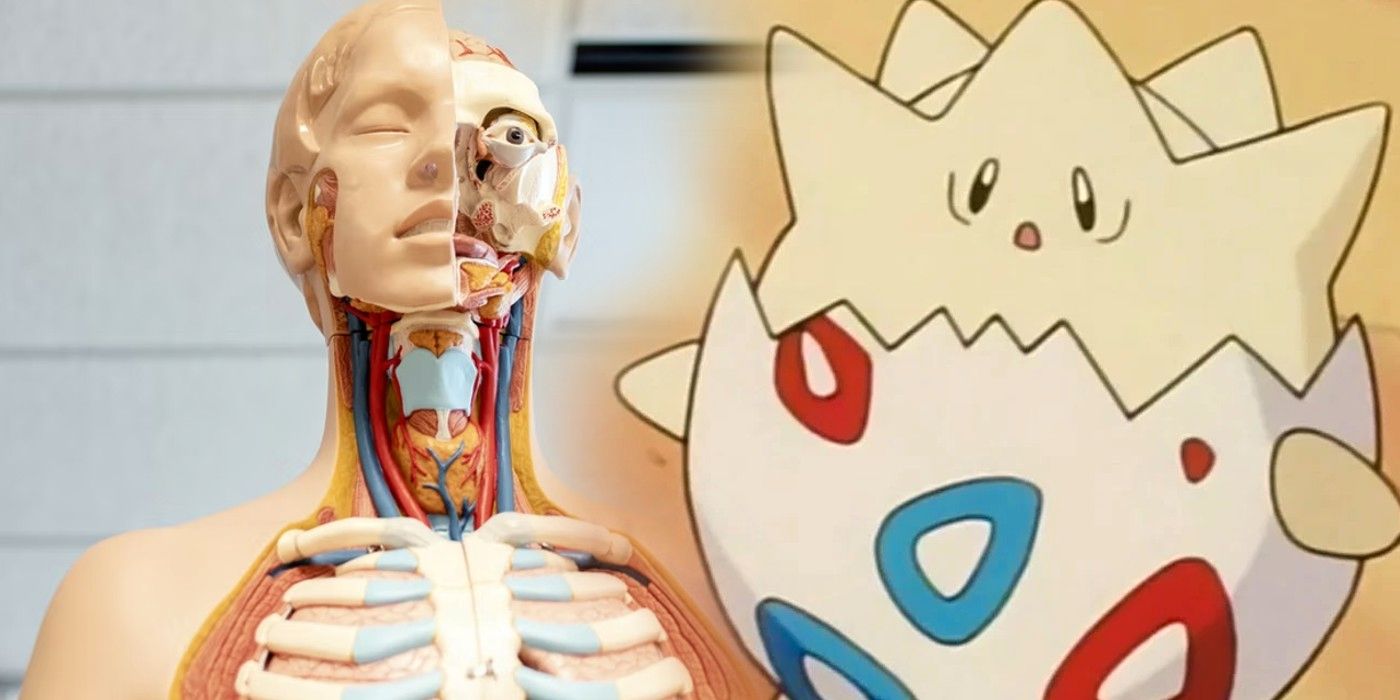 Los Pokémon anatómicamente correctos diseñados por el artista son puro combustible de pesadilla