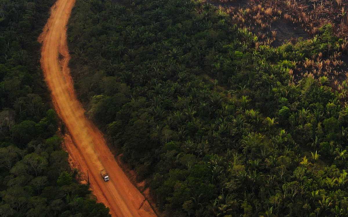 Periodista e investigador desaparecen en la zona más inhóspita de la Amazonia
