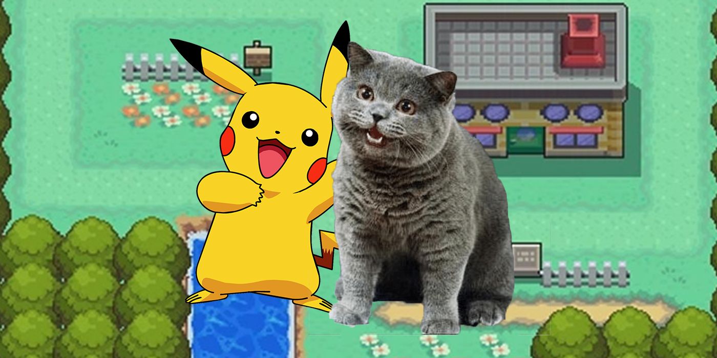 Pokémon Fan rehace a la perfección los juegos con gatos, disfraces y juegos