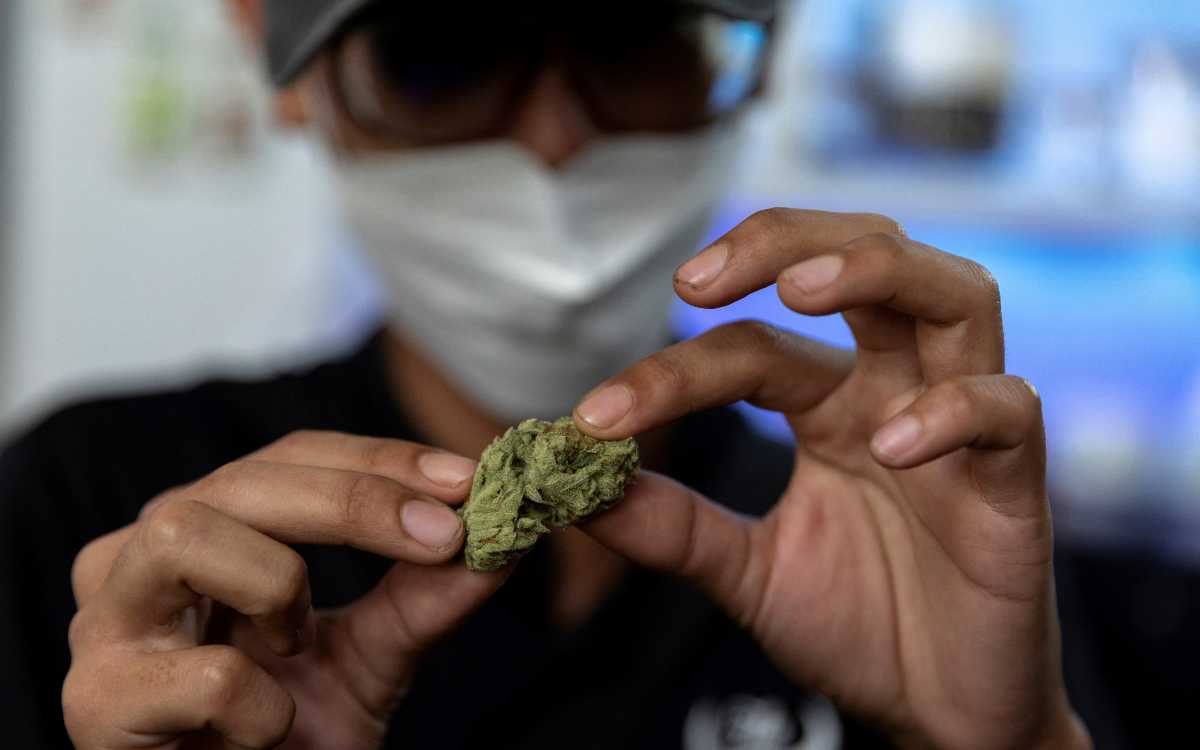 Se acelera consumo de cannabis y la fabricación de cocaína: Informe Mundial sobre las Drogas 2022