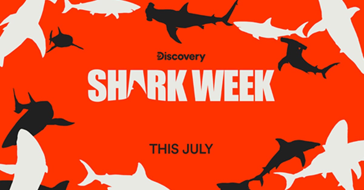 Shark Week 2022 obtiene primer adelanto y fecha de estreno de Discovery Channel