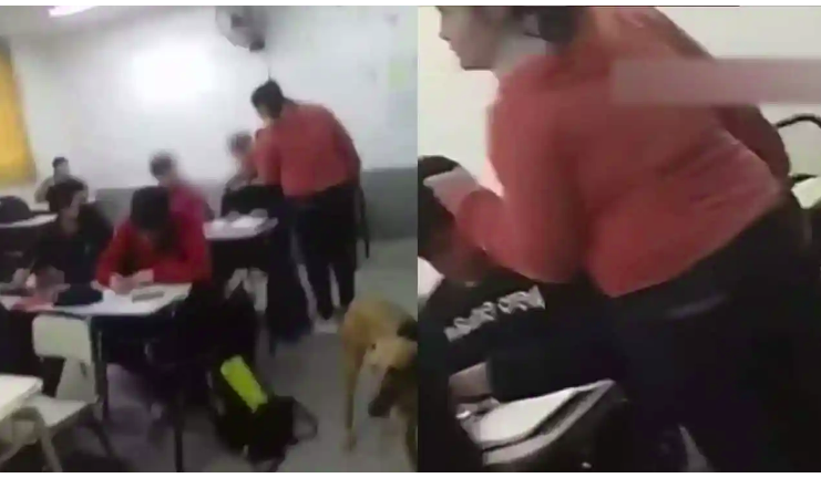 VIDEO: “A mi hijo no lo toca nadie”: Madre cachetea a un compañero de su hijo en salón de clases, es denunciada