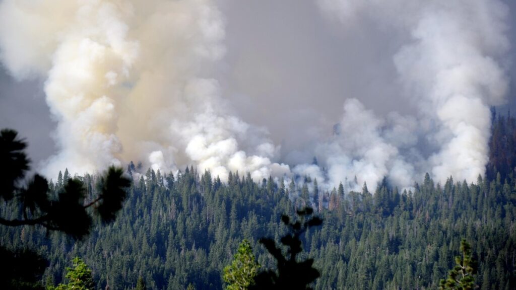 Incendio en Yosemite crece y amenaza el bosque de secuoyas gigantes