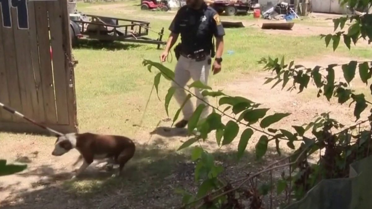 7 perros matan a anciano en ataque en el condado Fort Bend