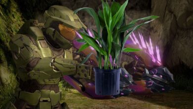 Animación de recarga de Needler de Halo recreada con una planta en maceta