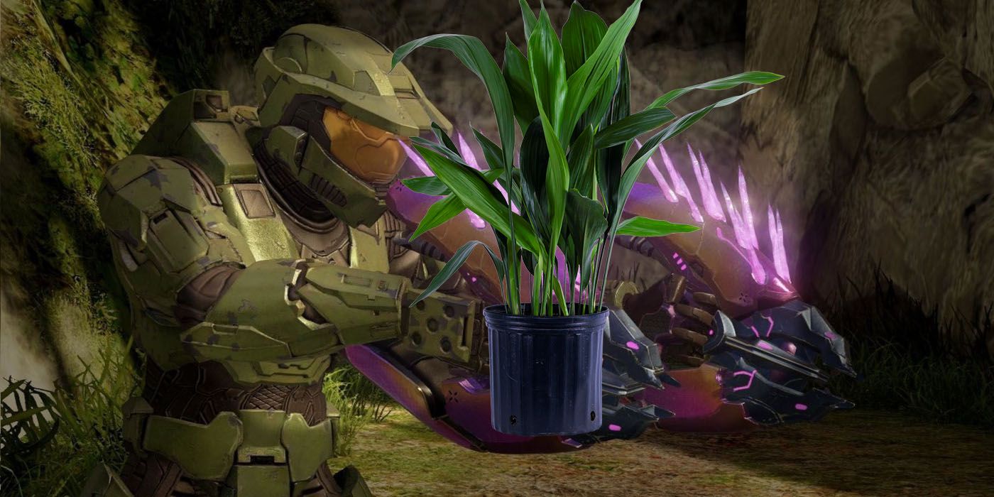 Animación de recarga de Needler de Halo recreada con una planta en maceta