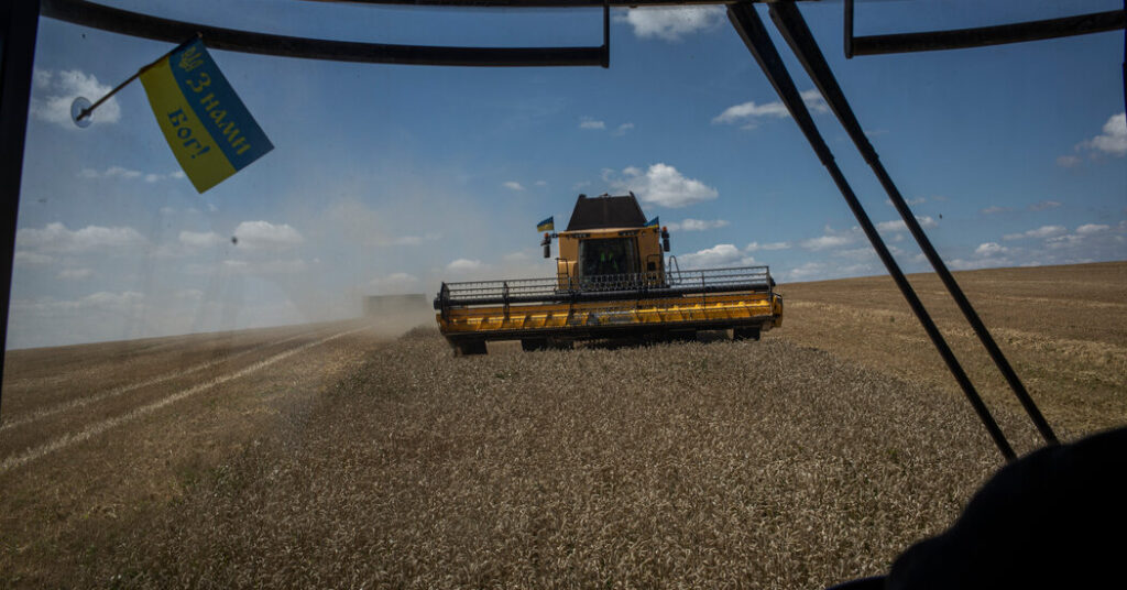 Cultivos 'almacenados en todas partes': la cosecha de Ucrania se acumula