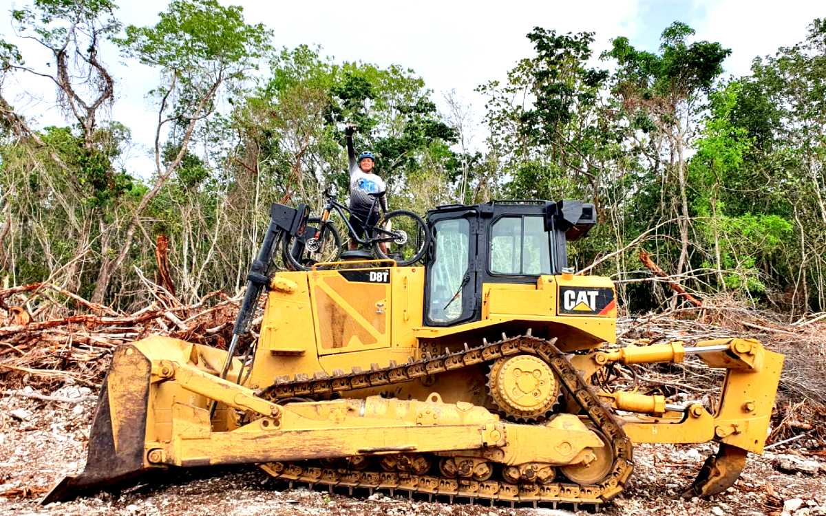 Ecologistas invocan T-MEC para revisar impacto ambiental del Tren Maya