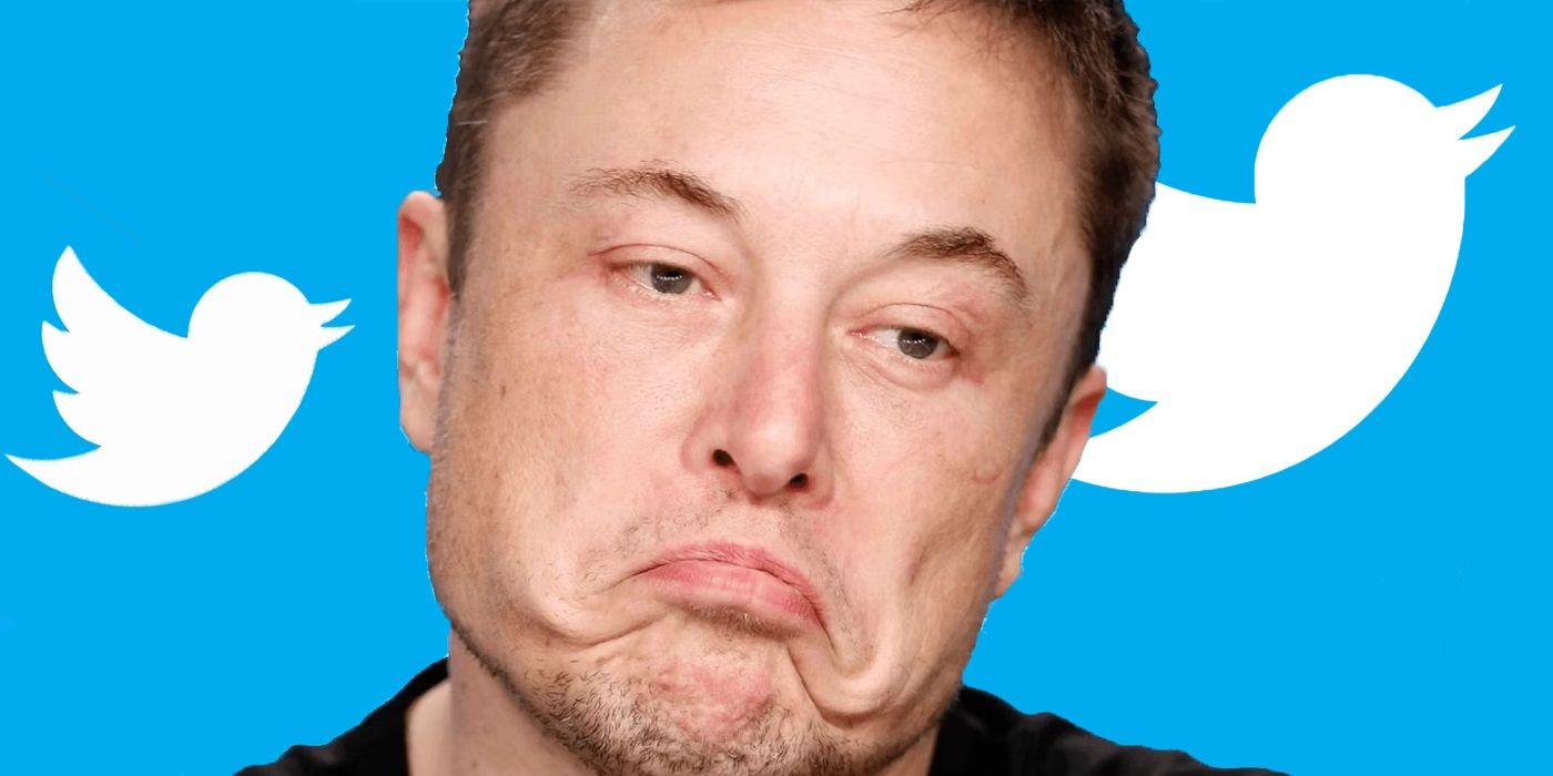Elon Musk rescinde el acuerdo de Twitter y culpa a los bots