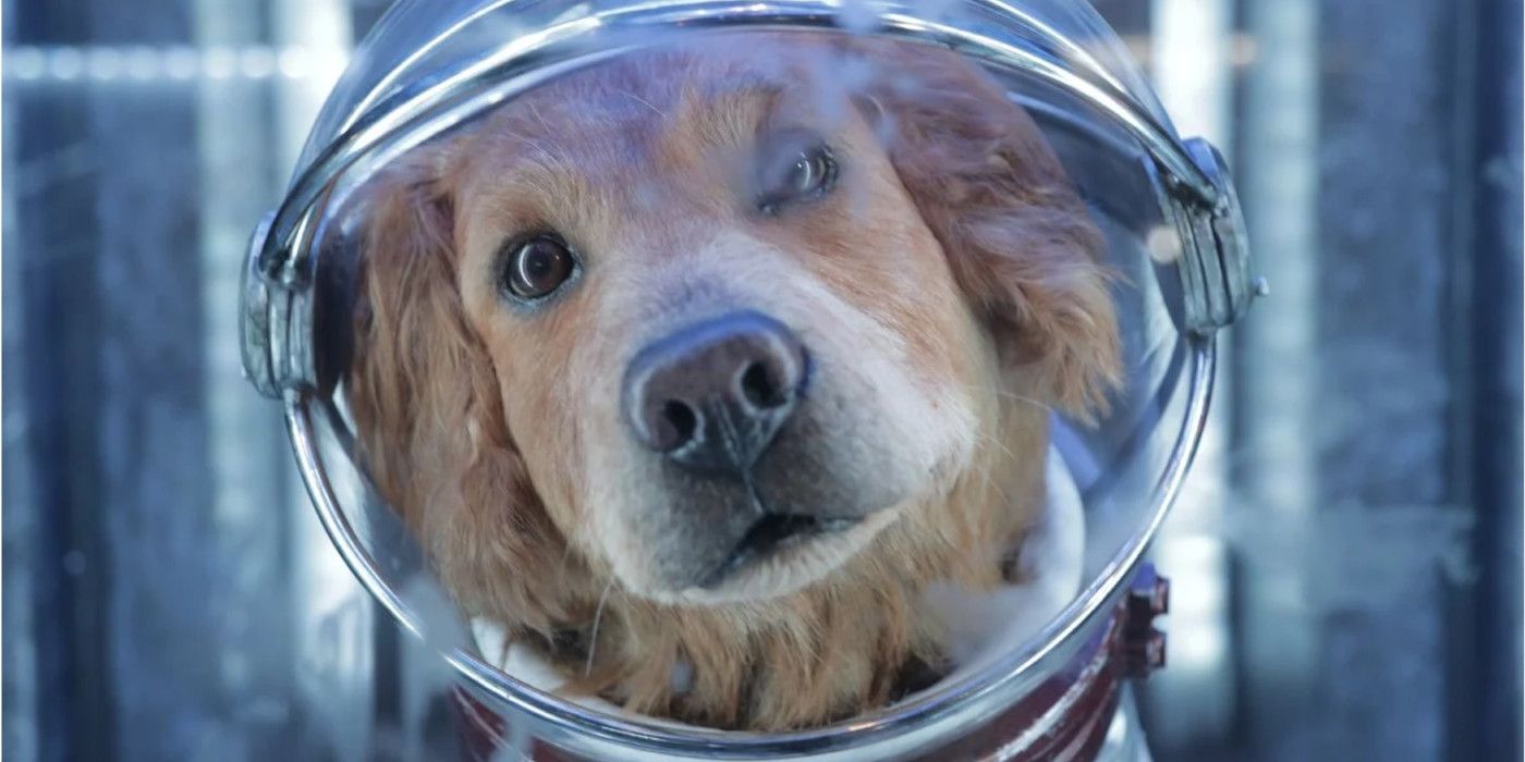 Guardianes de la Galaxia 3: Gunn defiende a Cosmo El perro espacial Cambio de género
