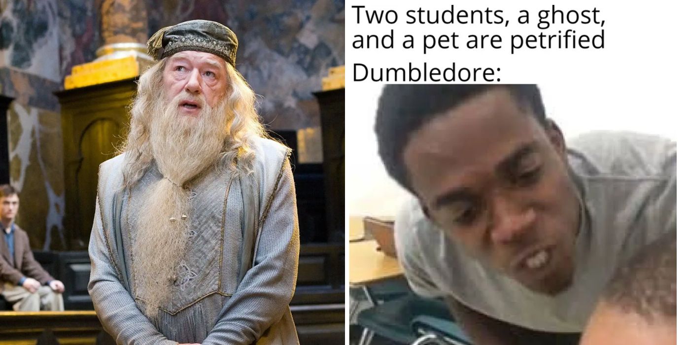 Harry Potter: 10 memes que resumen a la perfección a Dumbledore como personaje