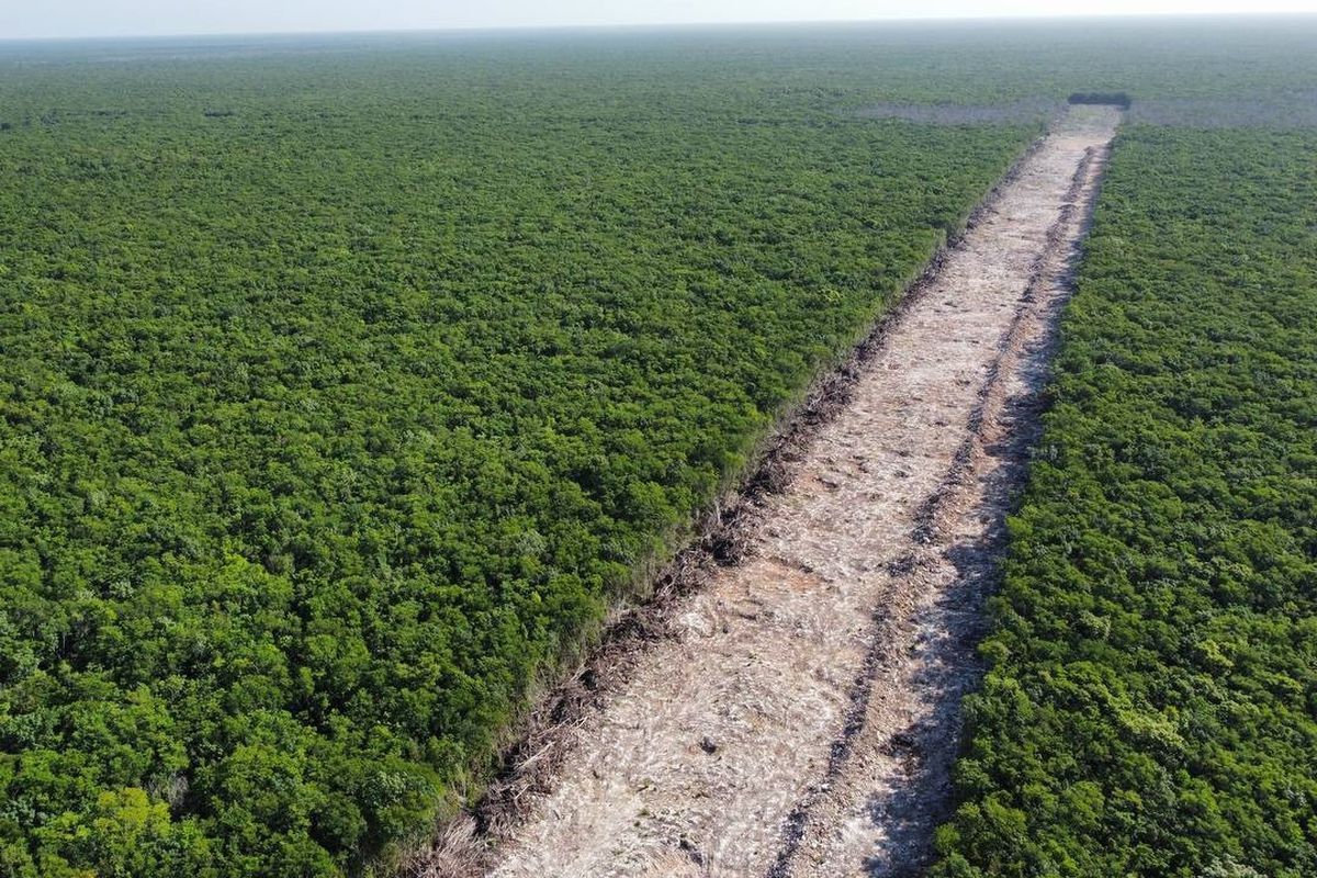 La polémica por los impactos del Tren Maya llega hasta la comisión ambiental del T-MEC