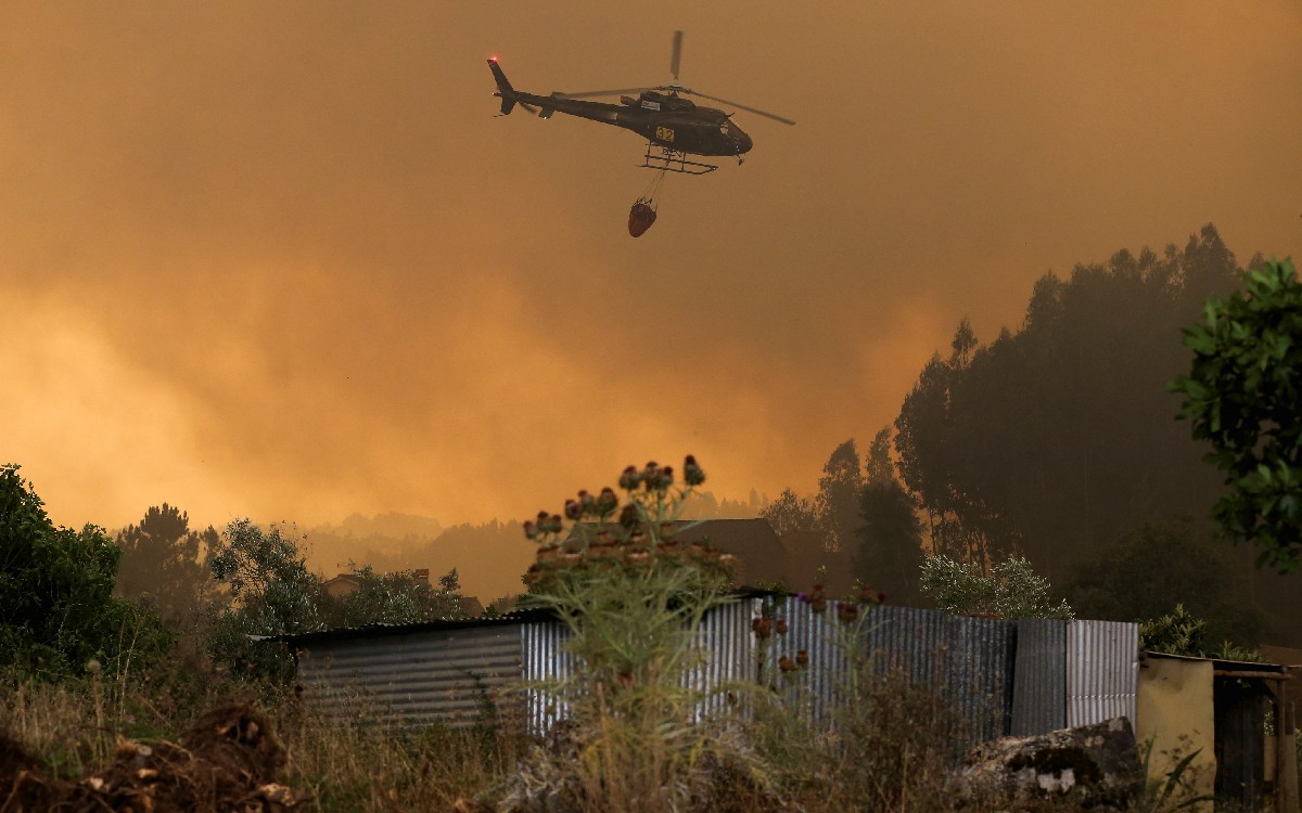 Ola de calor azota Europa; incendios forestales arrasan desde Portugal hasta Croacia | Video
