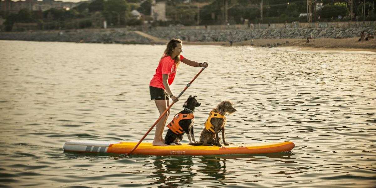 Paddle surf con perros en la playa de El Masnou