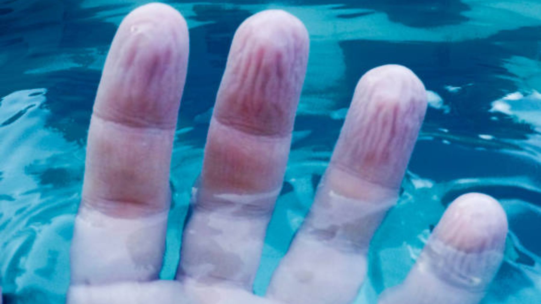 Por qué se arrugan las yemas de los dedos cuando estás en el agua