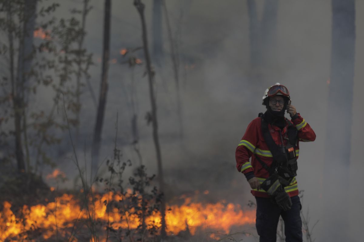 Portugal se enfrenta a una oleada de incendios que han afectado ya a 2.500 hectáreas
