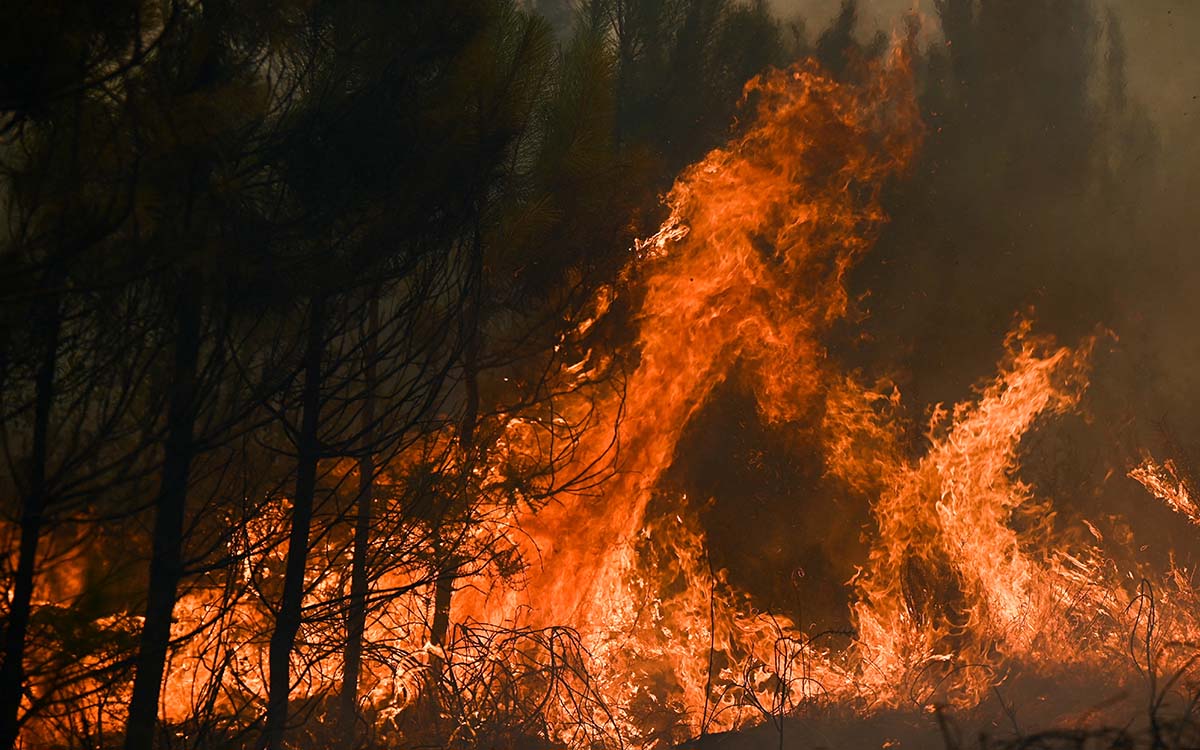 Pronostican ‘peligro muy extremo’ de incendios en zonas de Inglaterra donde normalmente no hay
