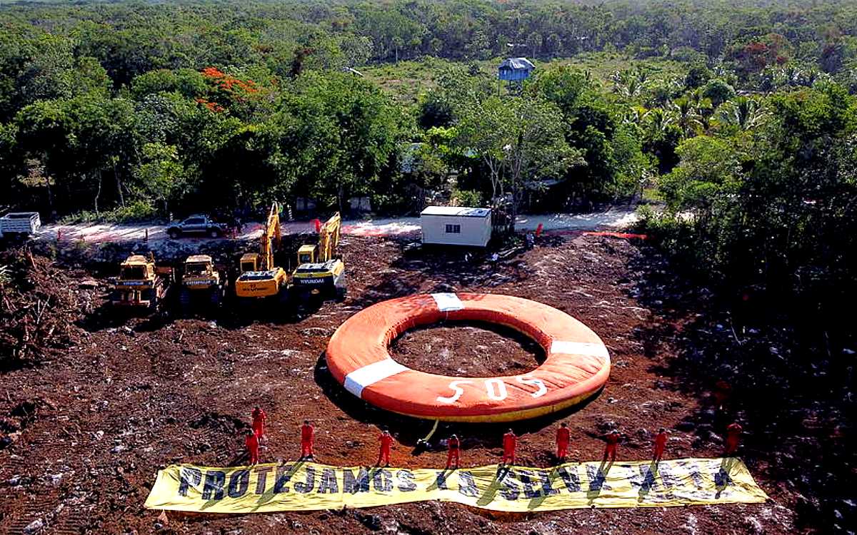 Protesta Greenpeace ante reinicio de obras del Tren Maya
