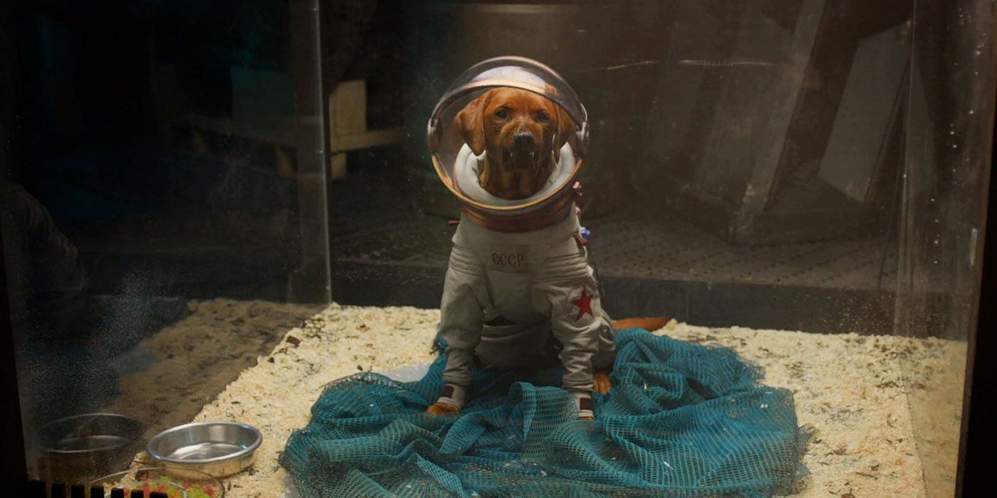 Se revela el actor Cosmo the Spacedog de Guardianes de la Galaxia 3