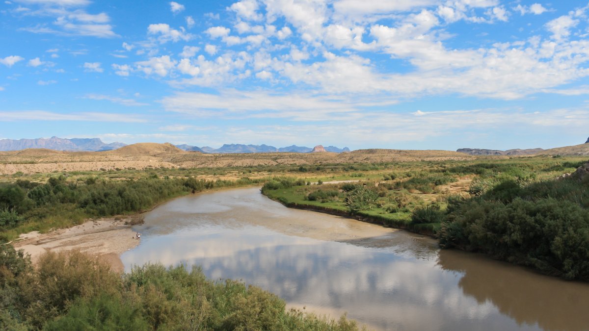 Peligra el habitat del carpa chamizal al secarse el río Grande