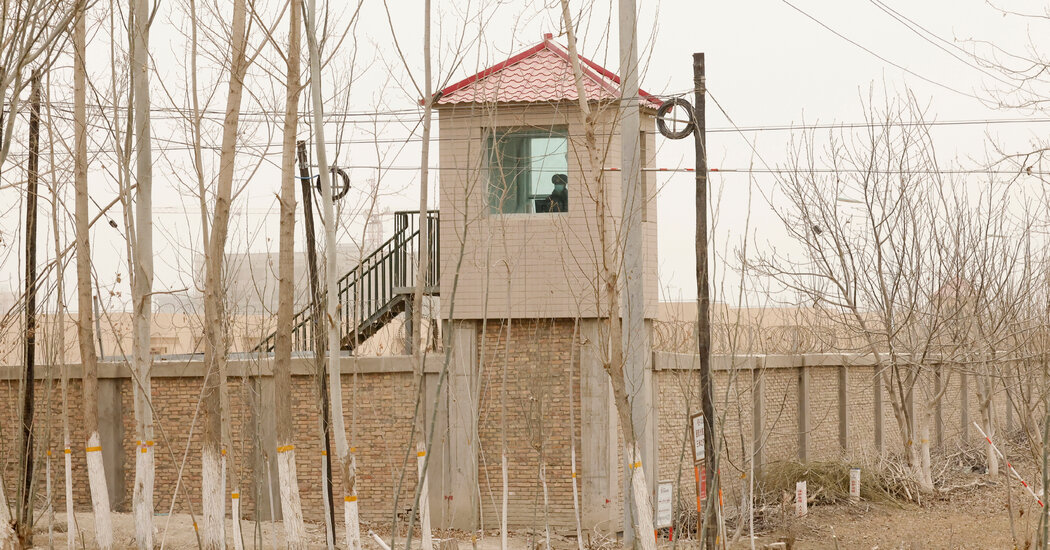 China puede haber cometido “crímenes contra la humanidad” en Xinjiang, dice la ONU