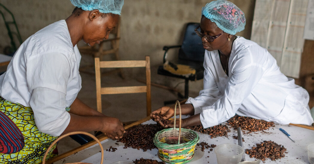 Costa de Marfil, un gran exportador de cacao, intenta ascender en la escalera