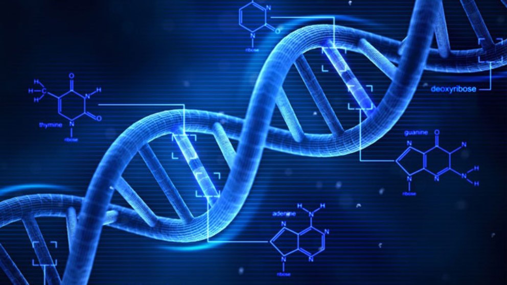 El ADN, la estructura molecular que revolucionó el mundo