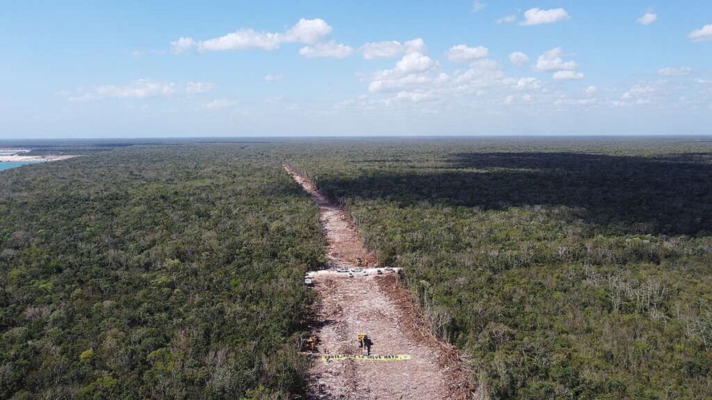 El Gobierno de México expropia terrenos para la construcción del polémico tramo 5 del Tren Maya