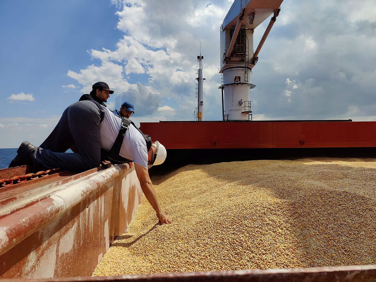 El corredor del grano en el mar Negro abre una puerta de esperanza ante la crisis alimentaria