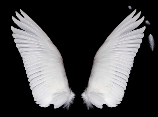 Elige a tu ángel: aprende cómo invierten y qué los motiva