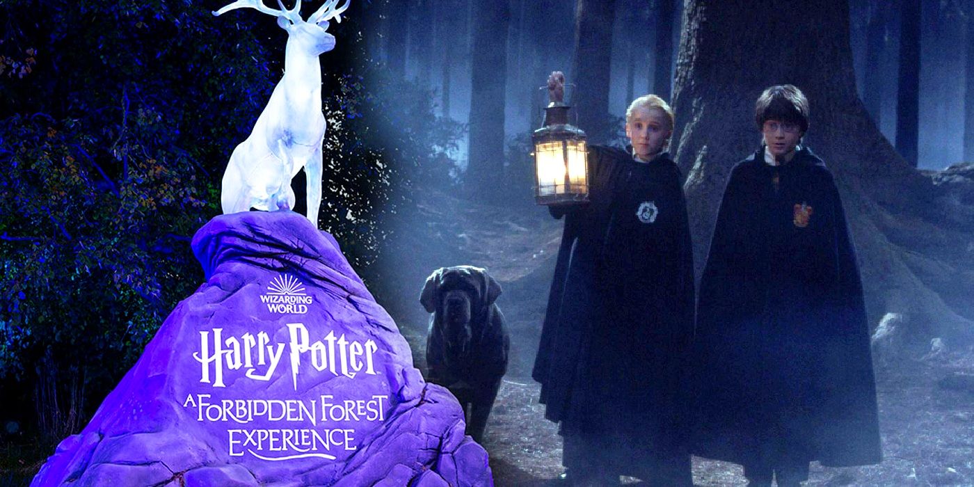 La experiencia interactiva de Harry Potter da vida al Bosque Prohibido