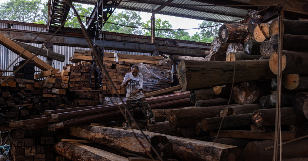 'La madera es vida': los últimos días de un aserradero de Hong Kong