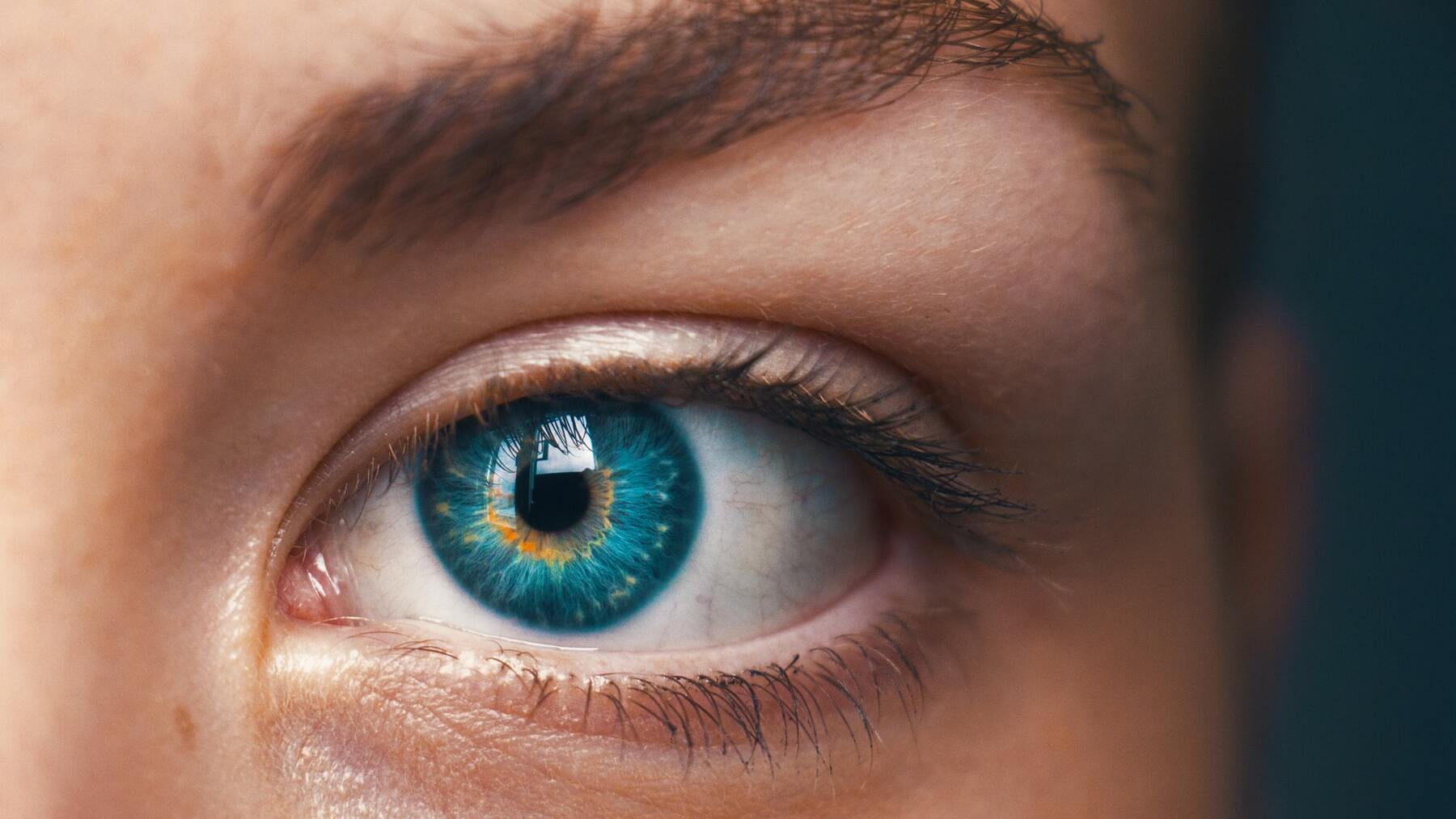 ¿Cuántos colores puede distinguir el ojo humano?