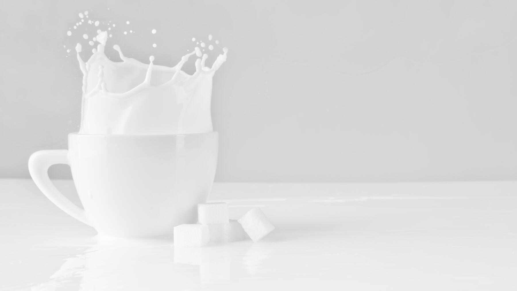 ¿Por qué la leche sin lactosa lleva lactosa?