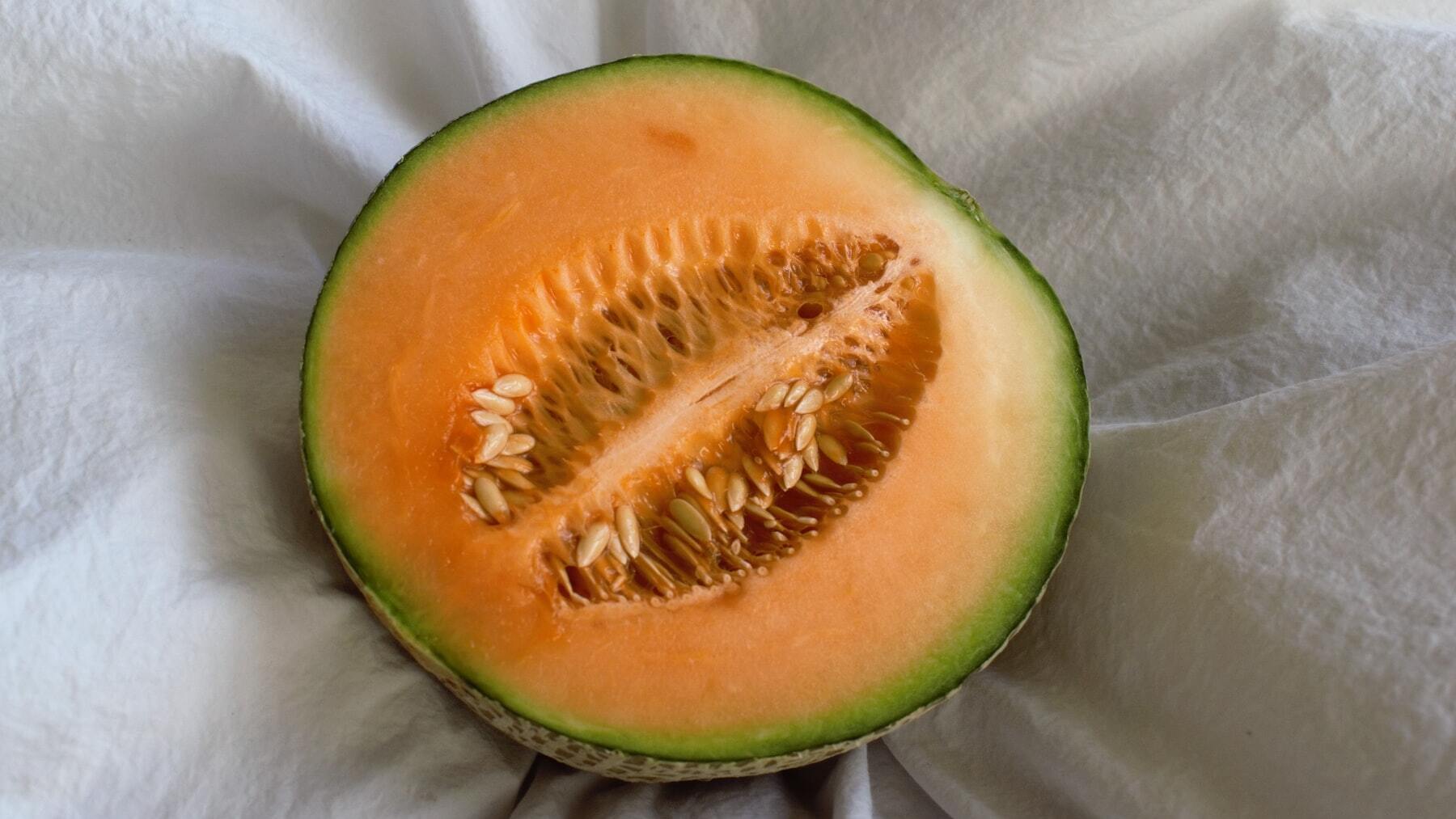 ¿Qué tipos de melón existen y cuál es más saludable?