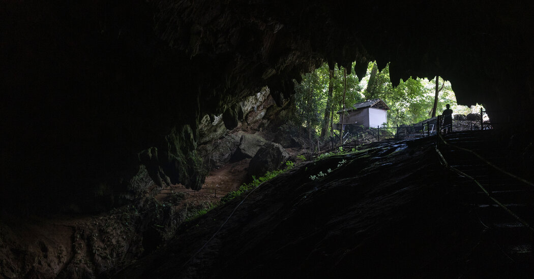 4 años después del emocionante rescate en una cueva, Sleepy Park se prepara para la embestida