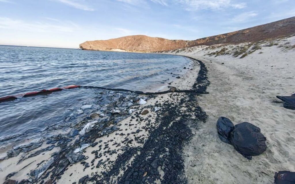 Descartan daños a especies marinas en playa de Balandra por contaminación de yate