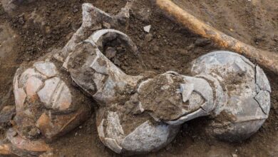 Descubren en Israel la evidencia más antigua jamás registrada del uso humano del opio