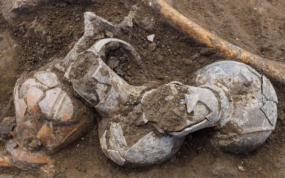 Descubren en Israel la evidencia más antigua jamás registrada del uso humano del opio